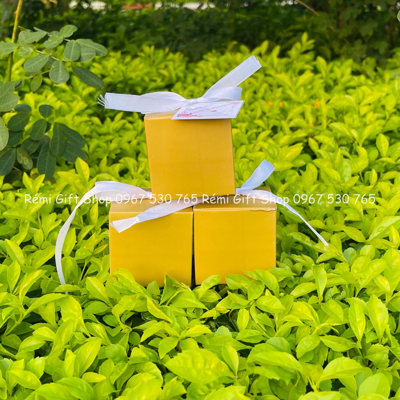 Hộp quà, hộp đựng quà tặng hình vuông thắt nơ đơn giản, thanh lịch - Ảnh 3