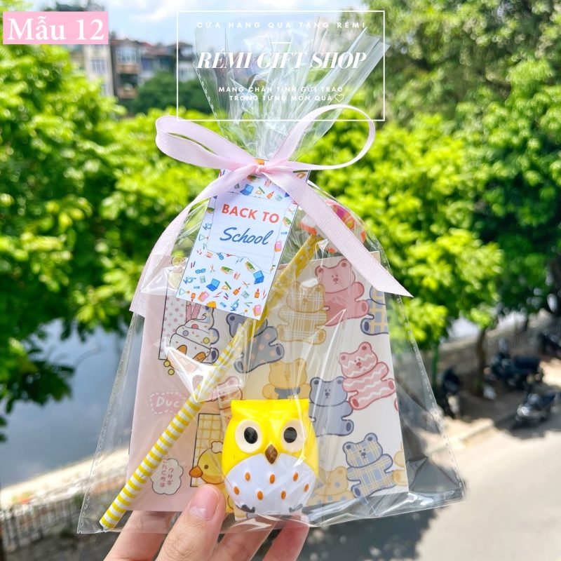 Mẫu 12 - Set quà đồ dùng học tập